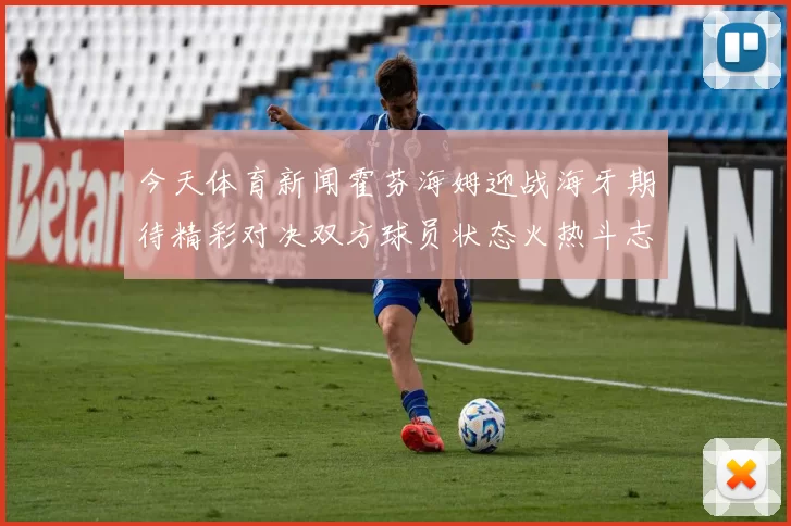 今天体育新闻霍芬海姆迎战海牙期待精彩对决双方球员状态火热斗志昂扬